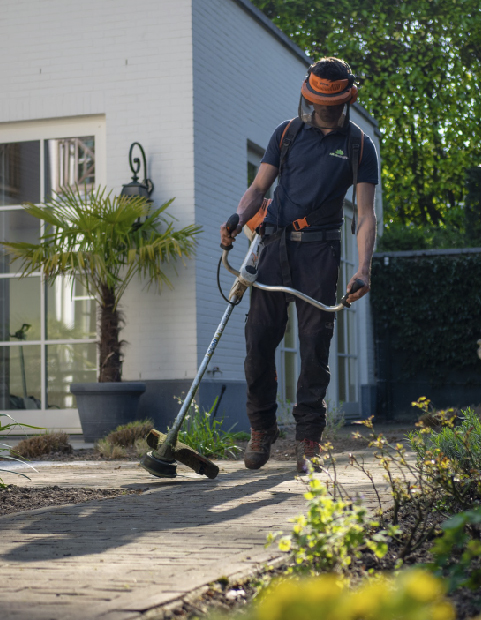 Design and maintenance of green areas in Alicante and Murcia